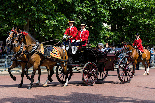 Ceremonial & Royal