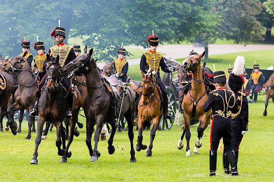 Ceremonial & Royal