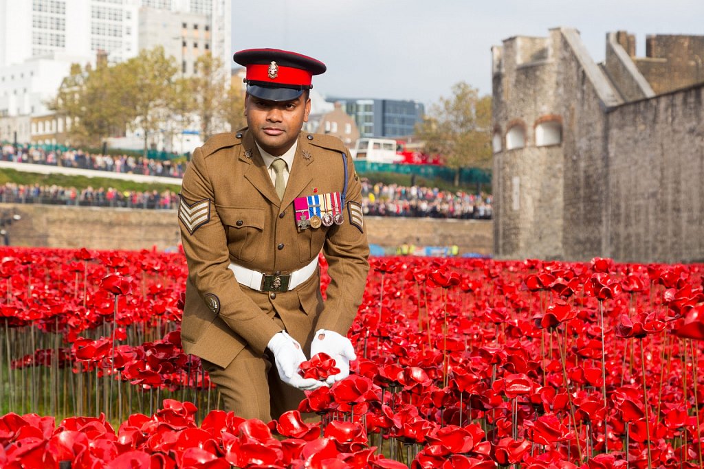 PoppyDay2014-16.jpg